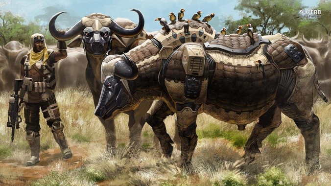 买矿卡被正常用坏的概率有多大？